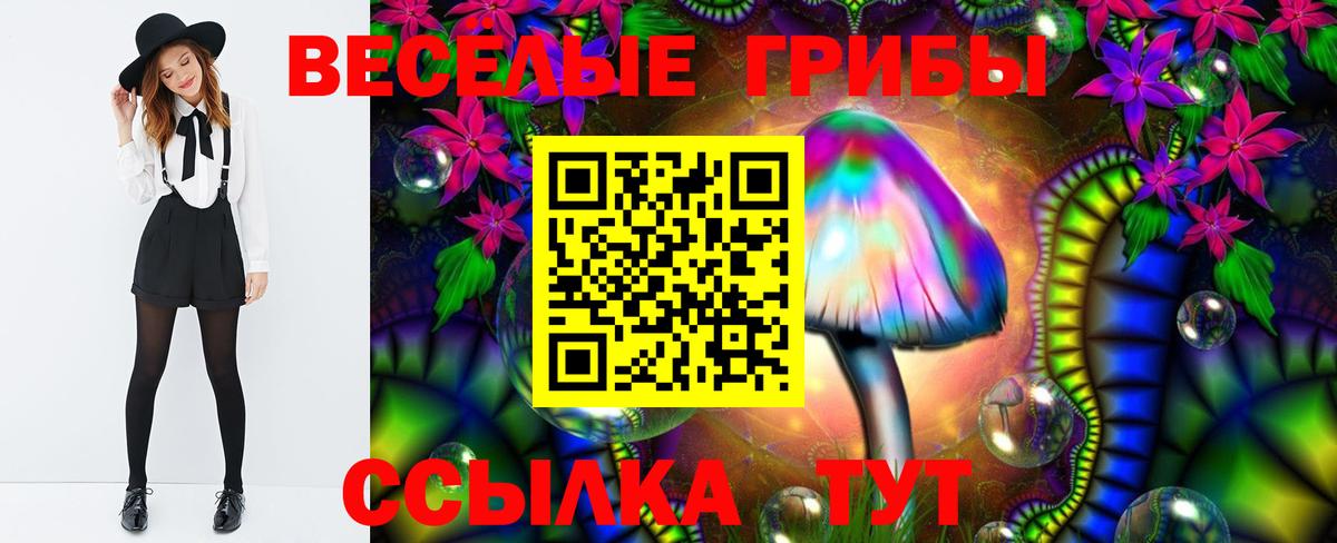 Псилоцибиновые грибы прущие грибы Архангельск