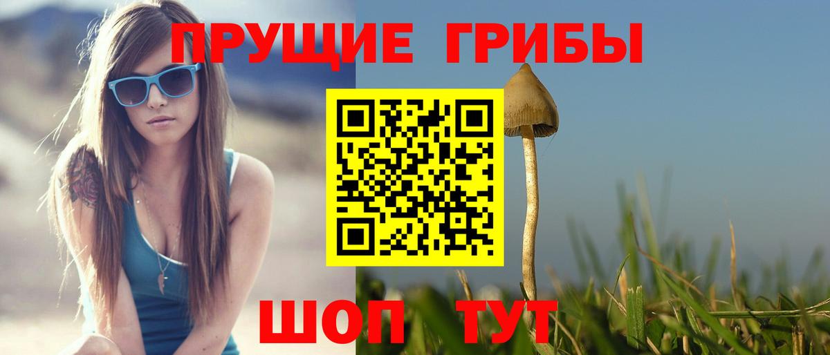 Архангельск  Галлюциногенные грибы Psilocybine cubensis  Псилоцибиновые грибы ЛСД  Вход с VPN 